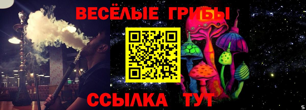 Псилоцибиновые грибы Psilocybe Курчалой